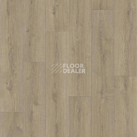 Линолеум Tarkett Praktika BRUNO_1 фото 1 | FLOORDEALER